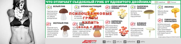 а пвп мука Алзамай