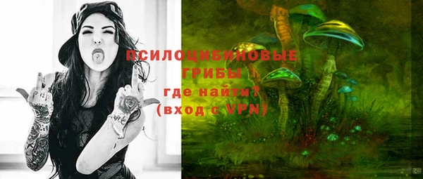 а пвп мука Алзамай