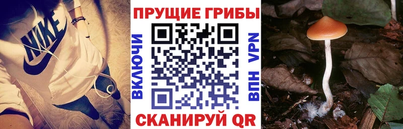 Псилоцибиновые грибы MAGIC MUSHROOMS  Чистополь 