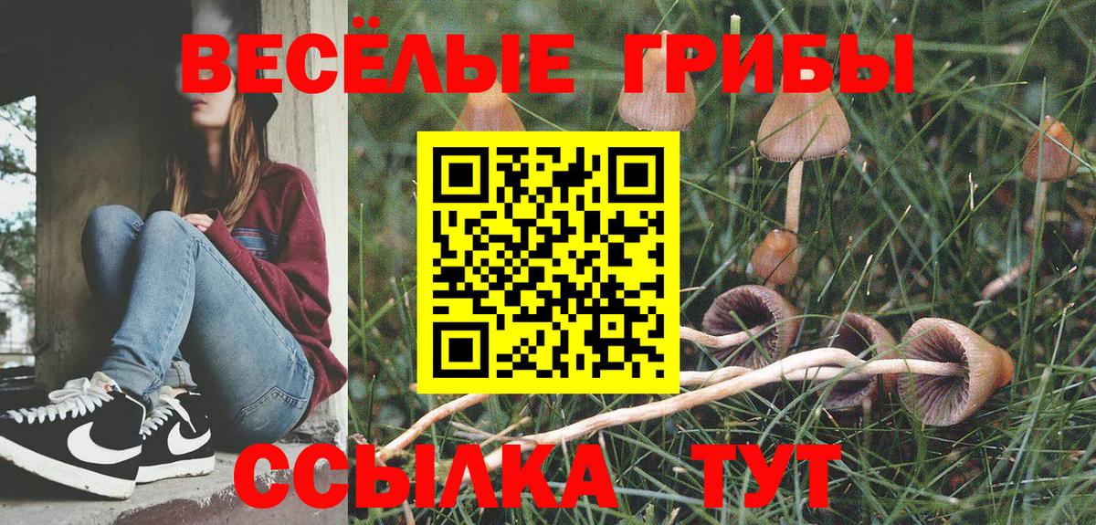 Чистополь  Псилоцибиновые грибы Magic Shrooms  закладки  Галлюциногенные грибы мухоморы  Вход с VPN 